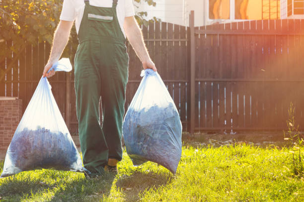 Best Shed Removal  in Northlake, IL